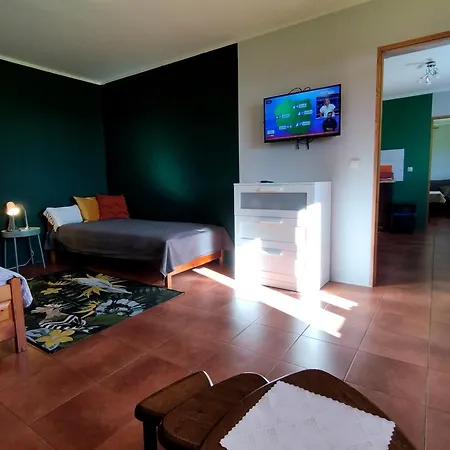 Apartament Gajnik Międzylesie